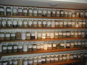 Whole Dried Herbs and Powders