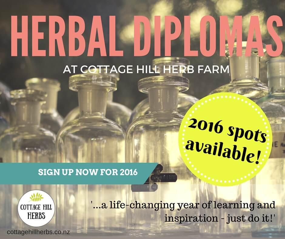 Herbal Courses ads 1