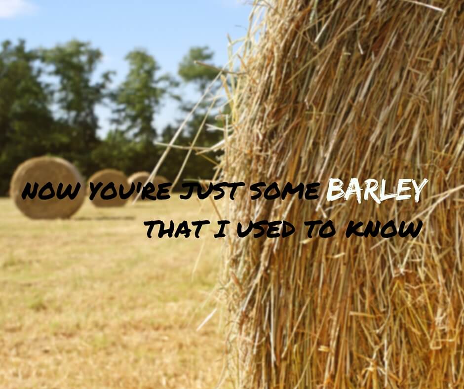 Now you're just some barley