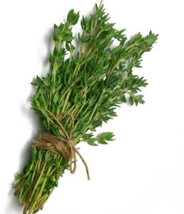 thyme