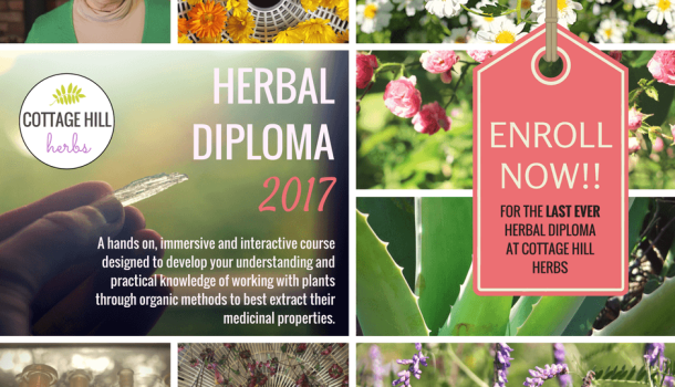 2 Spots Opened up for Herbal Diploma!!