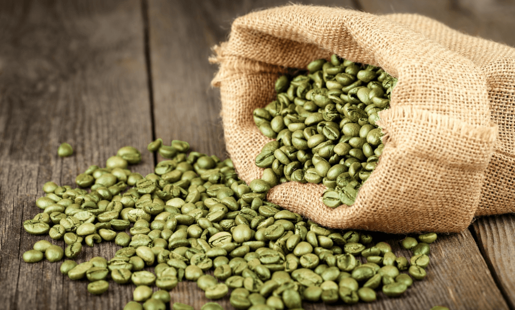 Green Coffee Beans (Raw Organic) Cottage Hill Herb Farm