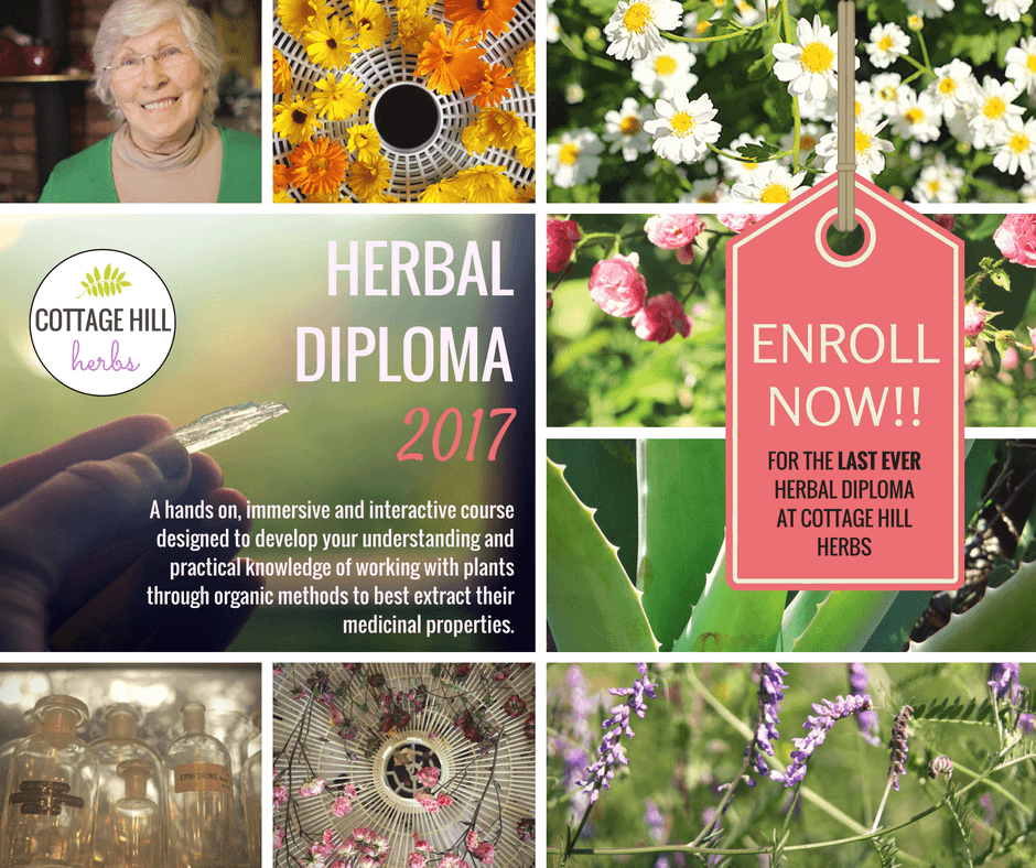 herbal-diplima-for-slider-enroll-now