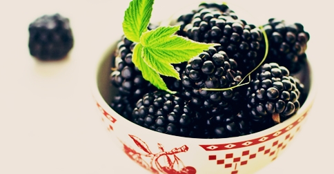 blackberry_fruit